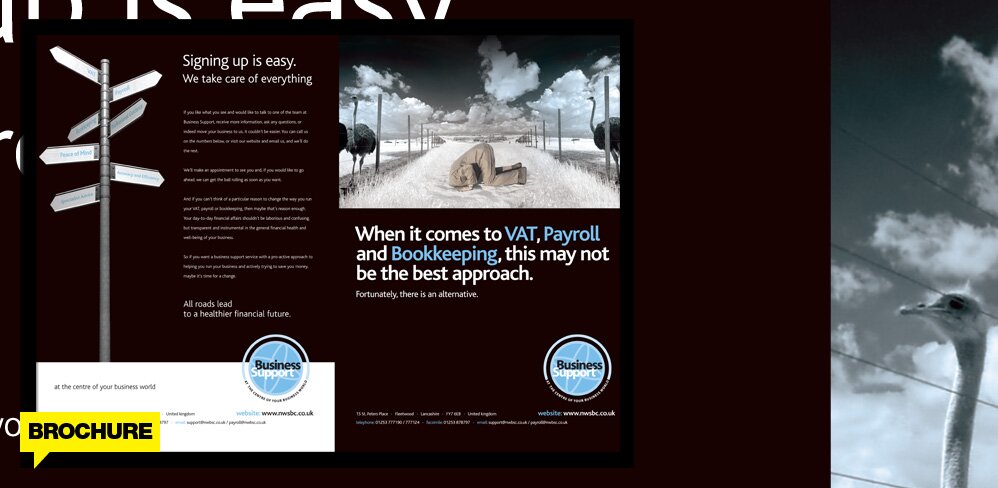 Brochure Design 13